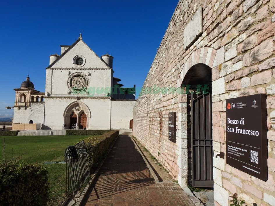 Bosco Di San Francesco Viaggio Nel Cuore Verde Di Assisi