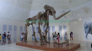 Il Mammut Del Castello Ed Il MUNDA Viaggio Tra I Musei D Abruzzo