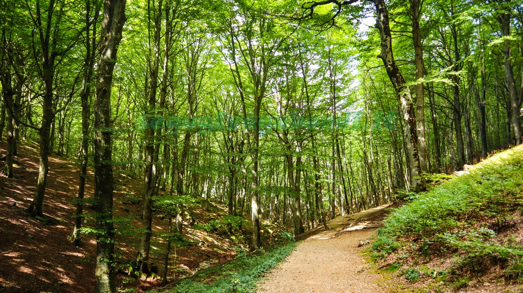 Val di Ranco Monte Cucco