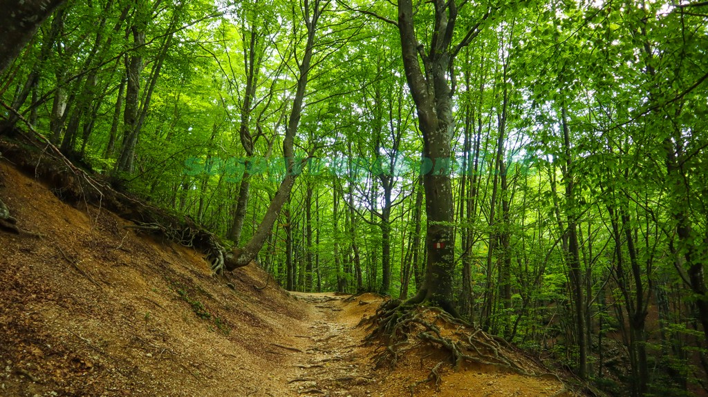 Val di Ranco Monte Cucco