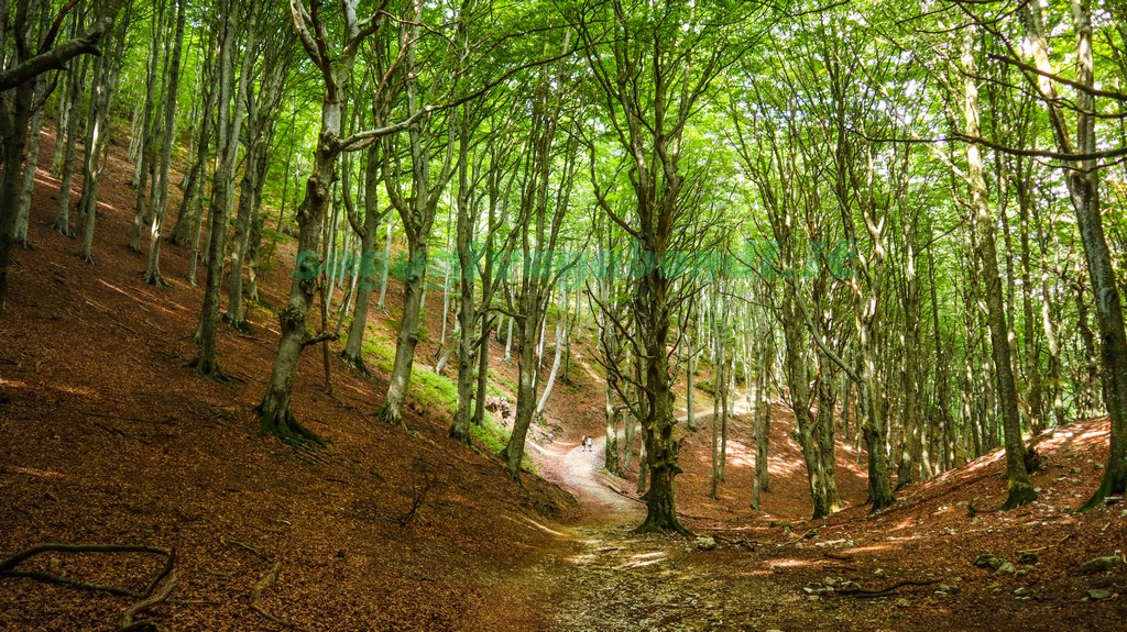 Val di Ranco Monte Cucco