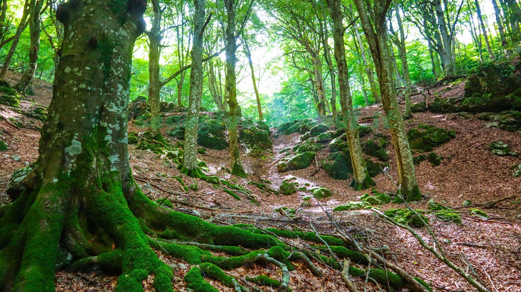 Val di Ranco Monte Cucco