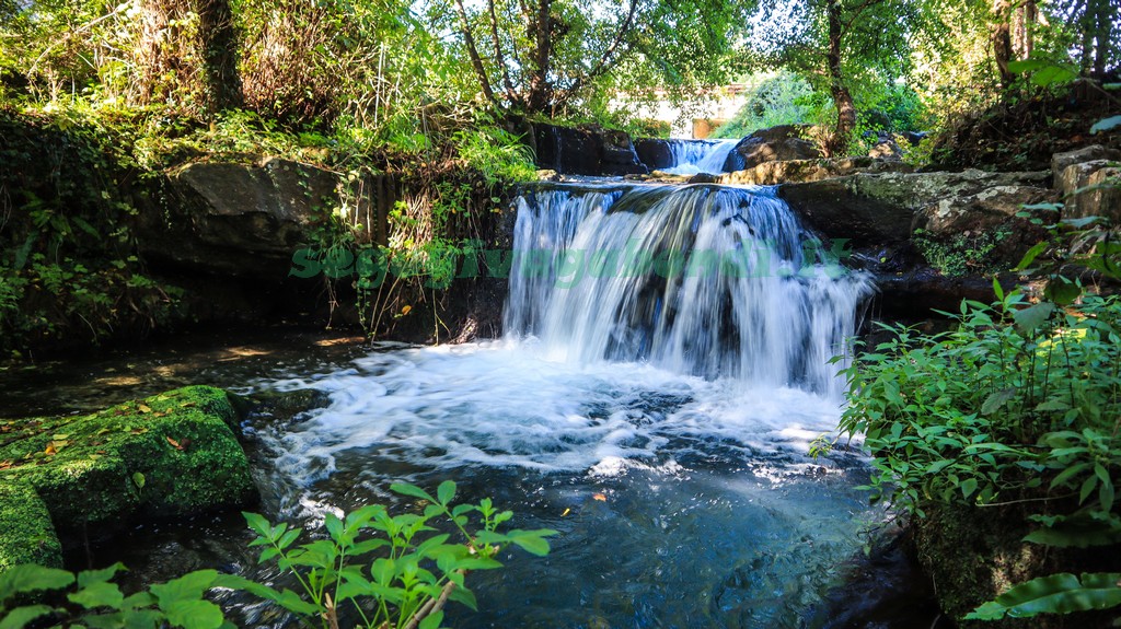 Cascate di Monte Gelato